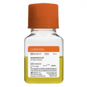 Амфотерицин B (Amphotericin B) 250 мкг