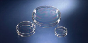 Чашки Петри 60 мм IVF (тест.)