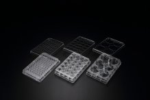 Планшет для 3D-культивирования, 96-луночный, Cell Floater, стерильный, SPL